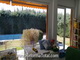 empresa local