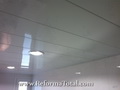 empresa local