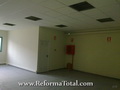 trabajos profesionales Techos Armstrong Madrid